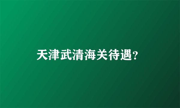 天津武清海关待遇？