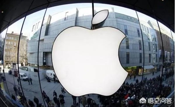 苹果手机市场占有率越来越低，未来有没有可能像高通谷歌一样出卖系统处理器赚钱？