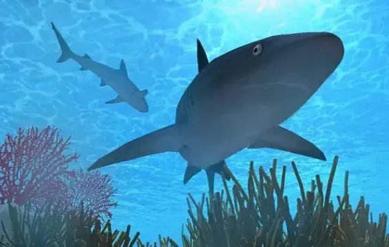 南沙群岛在哪个省