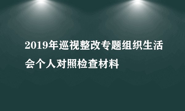 2019年巡视整改专题组织生活会个人对照检查材料