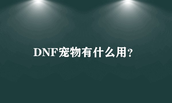 DNF宠物有什么用？
