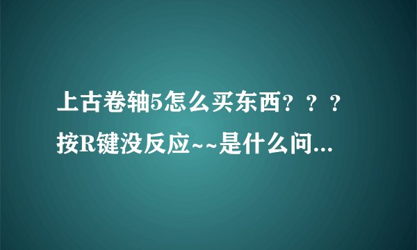 上古卷轴5怎么买东西？？？按R键没反应~~是什么问题在线求救