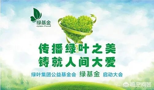 绿叶到底是不是传销?