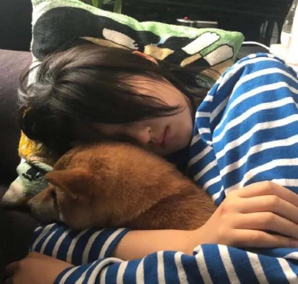 《向往的生活》锅碗瓢盆四条狗，现在过的怎么样了？