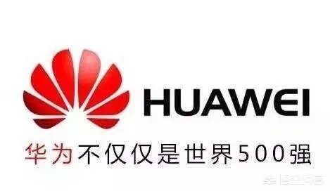 通过雕爷牛腩的衰落，创业者可以吸取哪些教训？