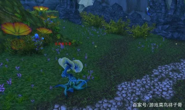 魔兽世界wlk去哪采药赚钱