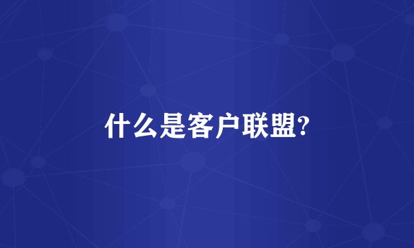 什么是客户联盟?