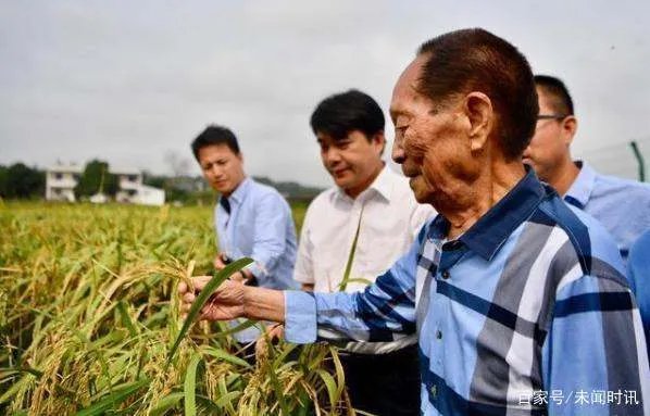 杂交水稻之父袁隆平一共有3个儿子，他们的现状都怎么样？