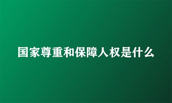 国家尊重和保障人权是什么