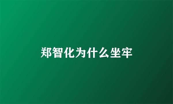 郑智化为什么坐牢