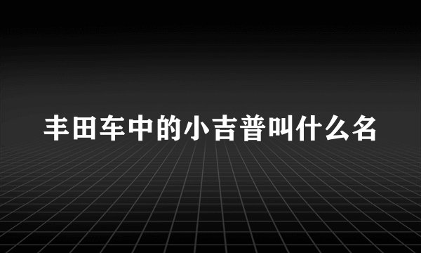 丰田车中的小吉普叫什么名
