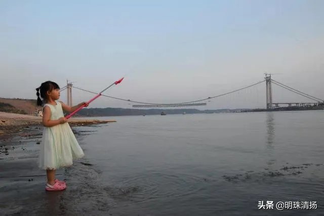 虎门大桥事件解决方案