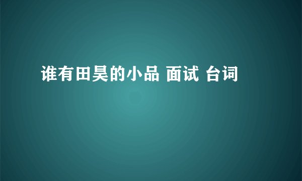 谁有田昊的小品 面试 台词