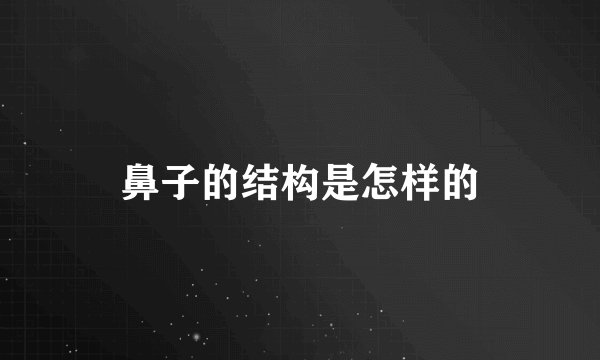鼻子的结构是怎样的