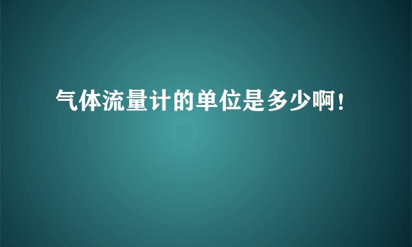 气体流量计的单位是多少啊！
