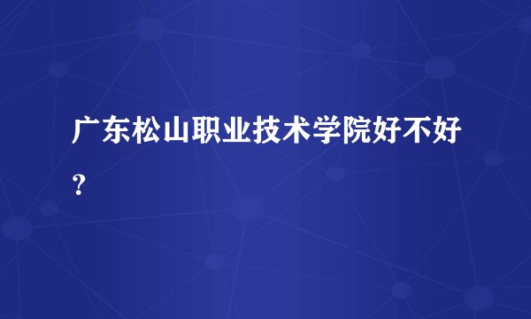 广东松山职业技术学院好不好？