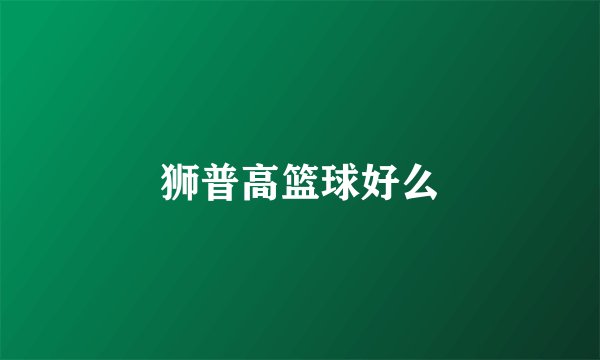 狮普高篮球好么