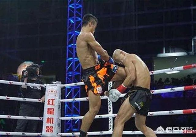 一龙为啥不和西提猜打复仇战，却要和播求打三番战？