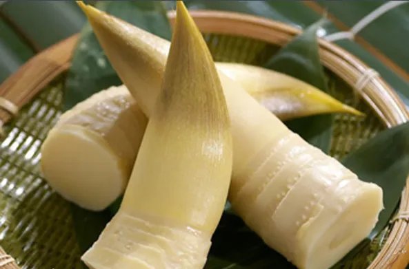 竹笋的产地安徽