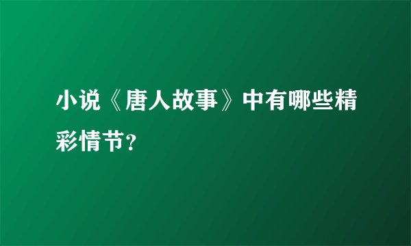 小说《唐人故事》中有哪些精彩情节？