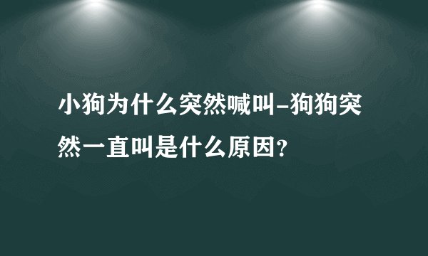 小狗为什么突然喊叫-狗狗突然一直叫是什么原因？