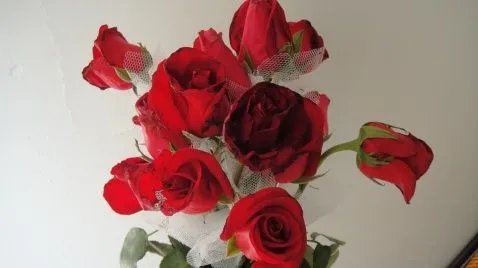 红玫瑰与黑玫瑰的介绍