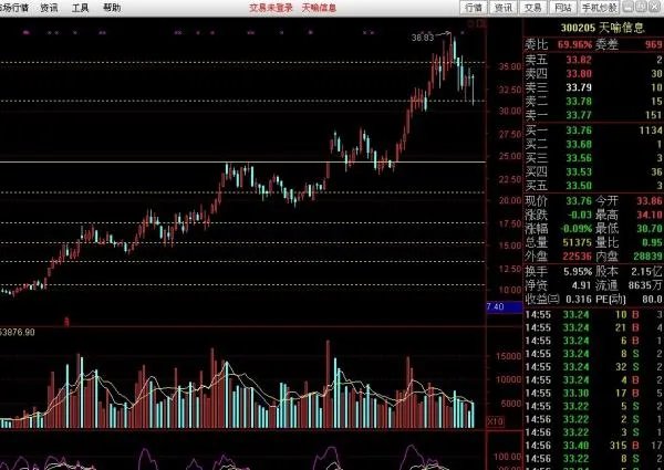 请人帮我分析一下天喻信息（300205）这只股票，要详细的。谢谢了