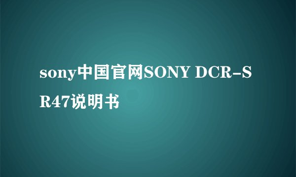 sony中国官网SONY DCR-SR47说明书