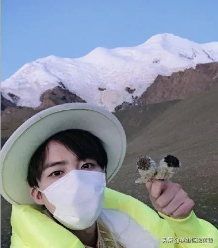 刘宇宁会被判刑吗？