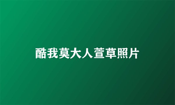 酷我莫大人萱草照片