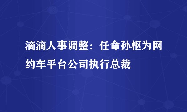 滴滴人事调整：任命孙枢为网约车平台公司执行总裁
