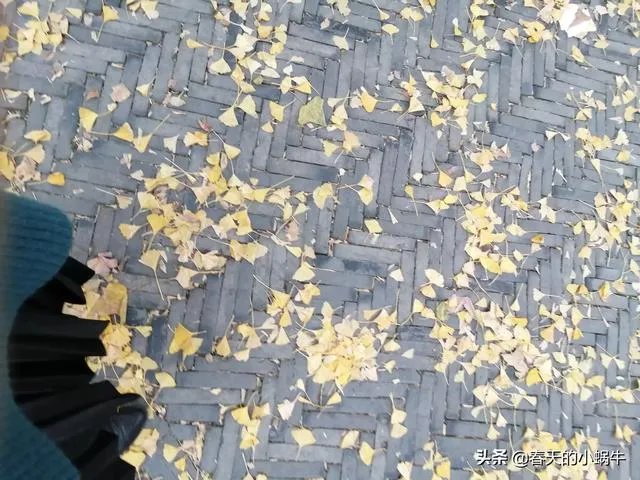 旅游是夫妻二人玩的舒服？还是多个朋友一起旅游更加有趣？