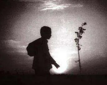 为什么患病母会离家出走？