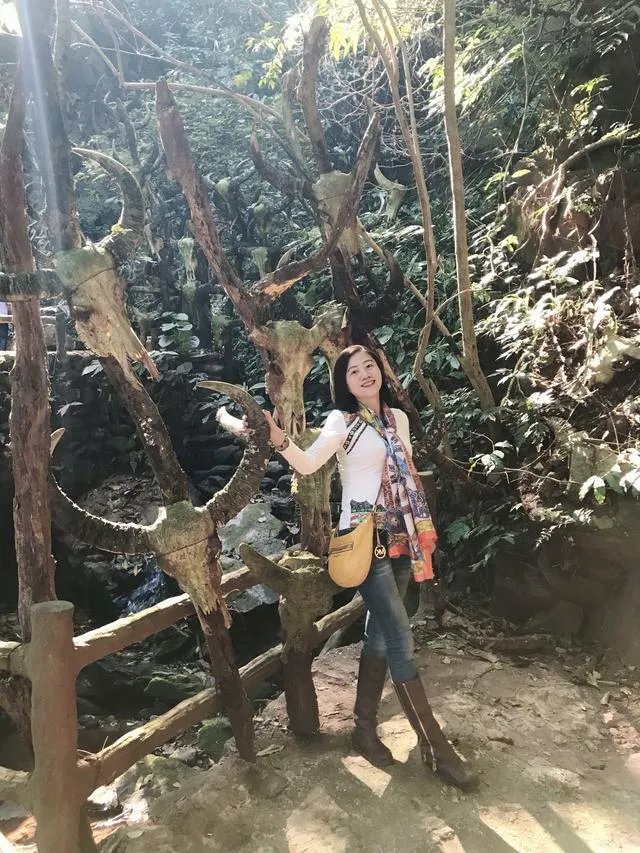 云南普洱市和瑞丽市哪个地理位置好?为什么?