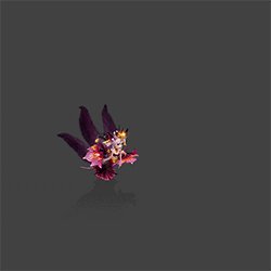 梦幻西游新召唤兽有苏鸩介绍