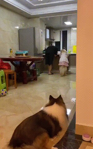 三上老师教你打篮球 后面比高低的午间动态图