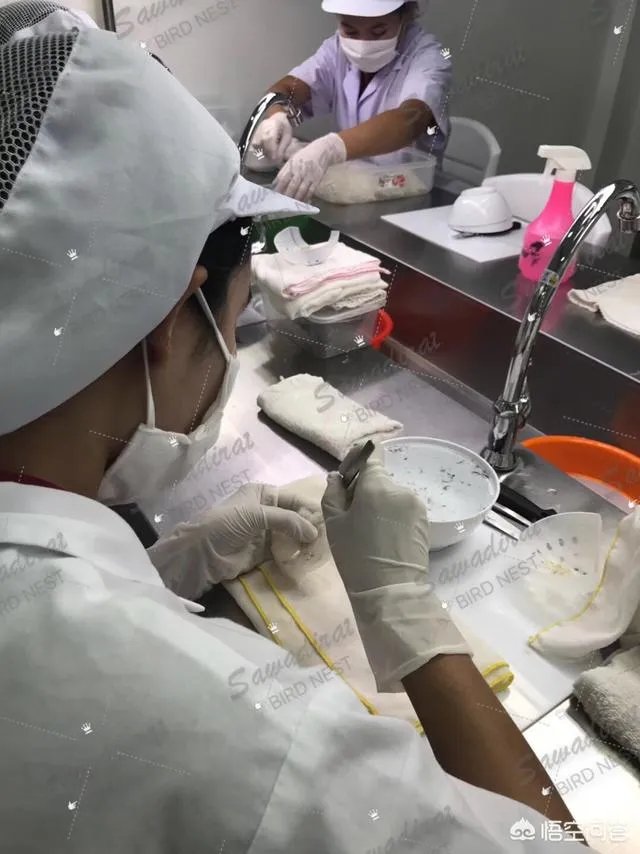 什么牌子的燕窝比较好？值得推荐的燕窝品牌有哪些？