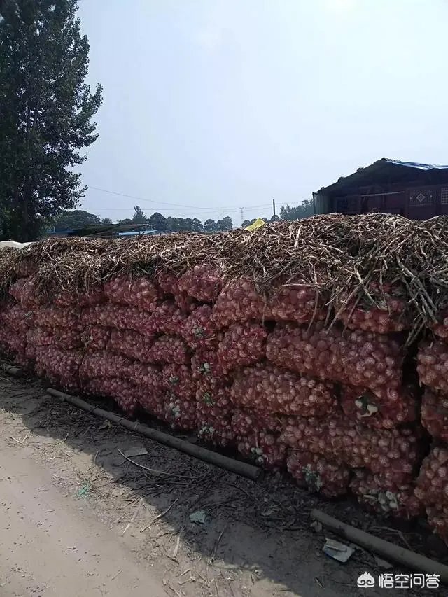 2018年的大蒜到底是会涨价还是会掉价？