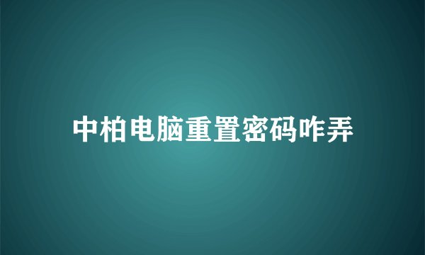 中柏电脑重置密码咋弄