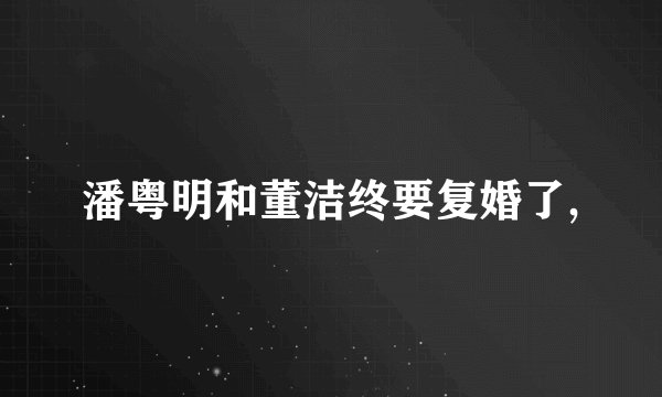 潘粤明和董洁终要复婚了,