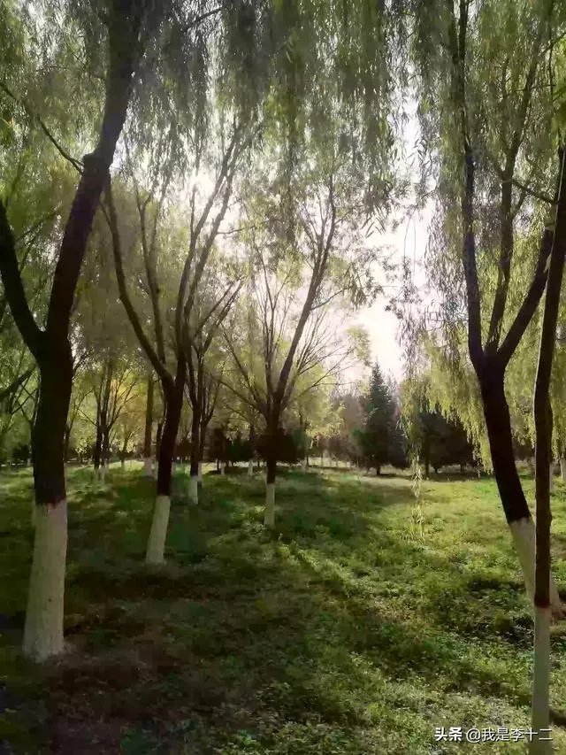 父母，夫妻，儿女，你能说出那一层关糸更亲，为什么？