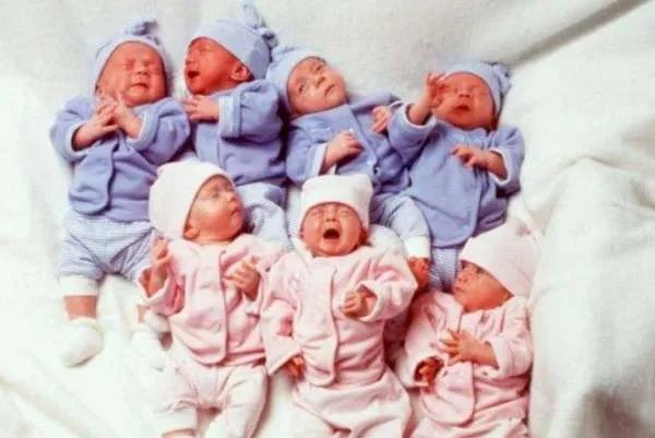 当年生7胞胎的夫妻闲杂怎样了，为什么会怀上多胞胎？