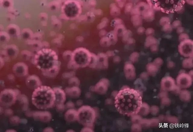 印度最大贫民窟新冠确诊病例过百，这一情况意味着什么？