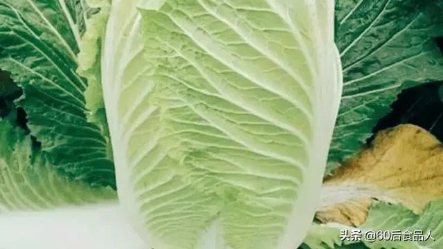 如何识别出甲醛白菜?