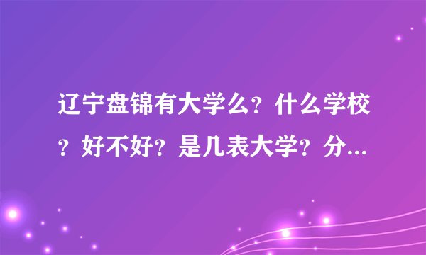 辽宁盘锦有大学么？什么学校？好不好？是几表大学？分数大概是多少