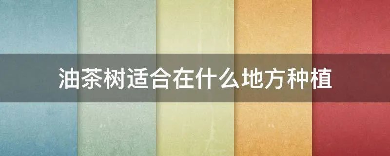 油茶树适合在什么地方种植