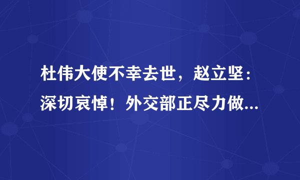 杜伟大使不幸去世，赵立坚：深切哀悼！外交部正尽力做好相关善后工作