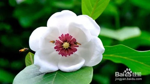 关门山旅游攻略