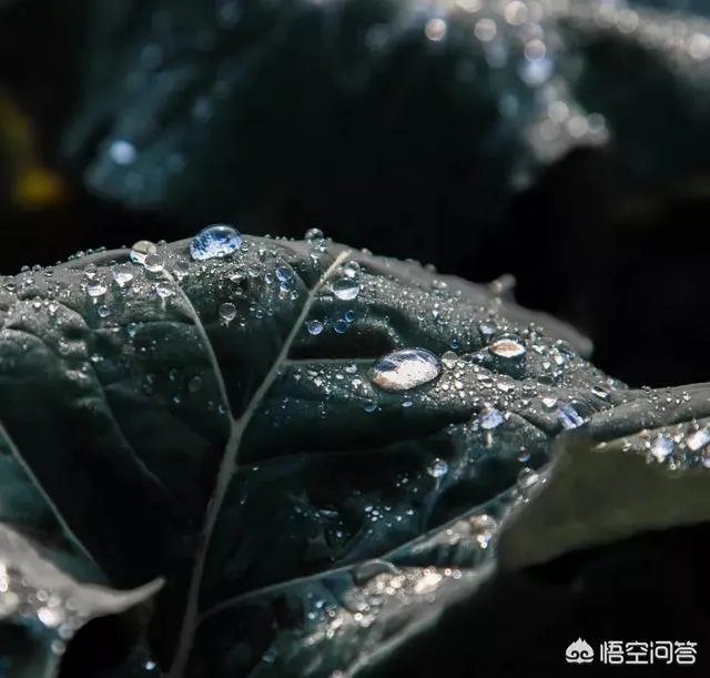 丛飞白眼狼事件原委