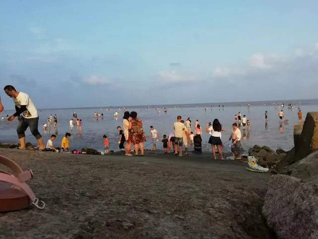 请问上海周边100公里左右自驾游有哪些景点推荐？